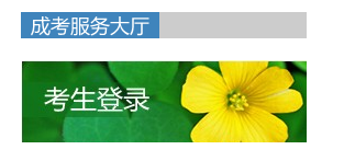 2023年福建成人高考录取查询入口